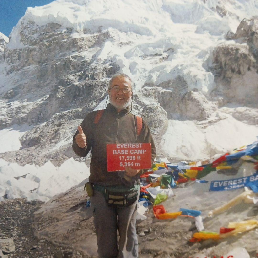 ネパールムクチナート産出。黒色アンモナイト化石 大きいサイズ(希少）