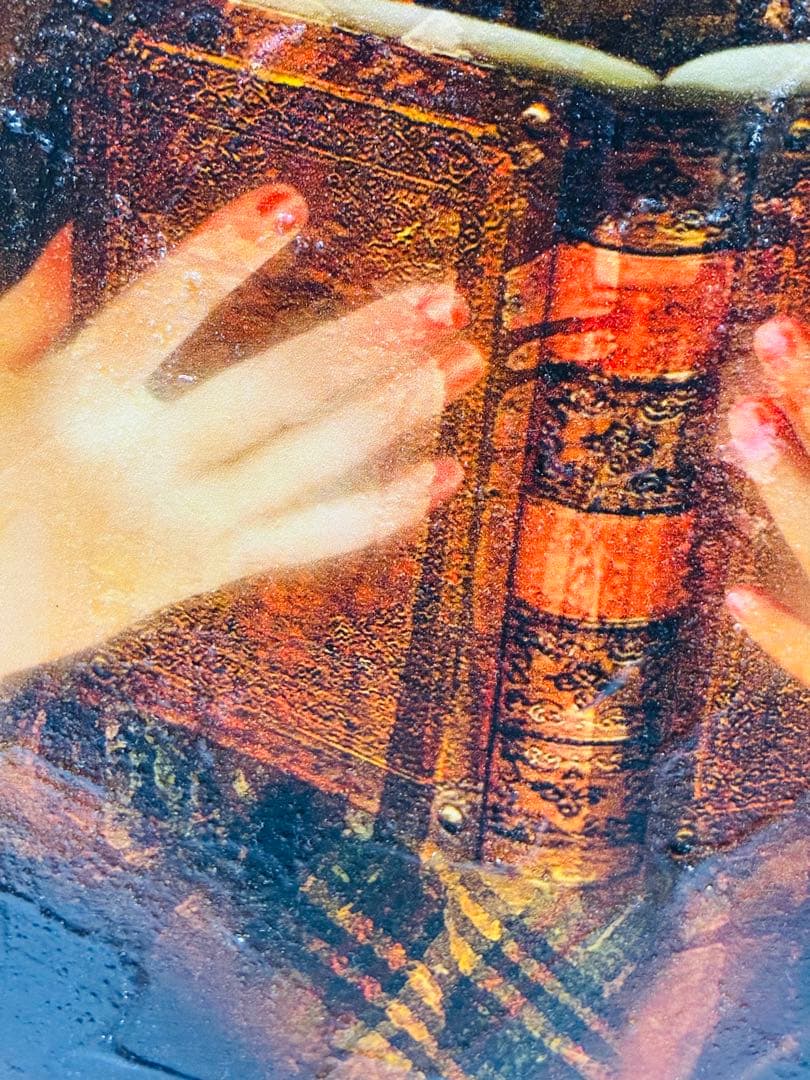 幻想世界の少女画家 横田美晴 『琥珀色の詩集』P4号 真筆作品