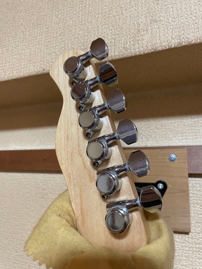 Bacchus テレキャスター MOD バーガンディミスト