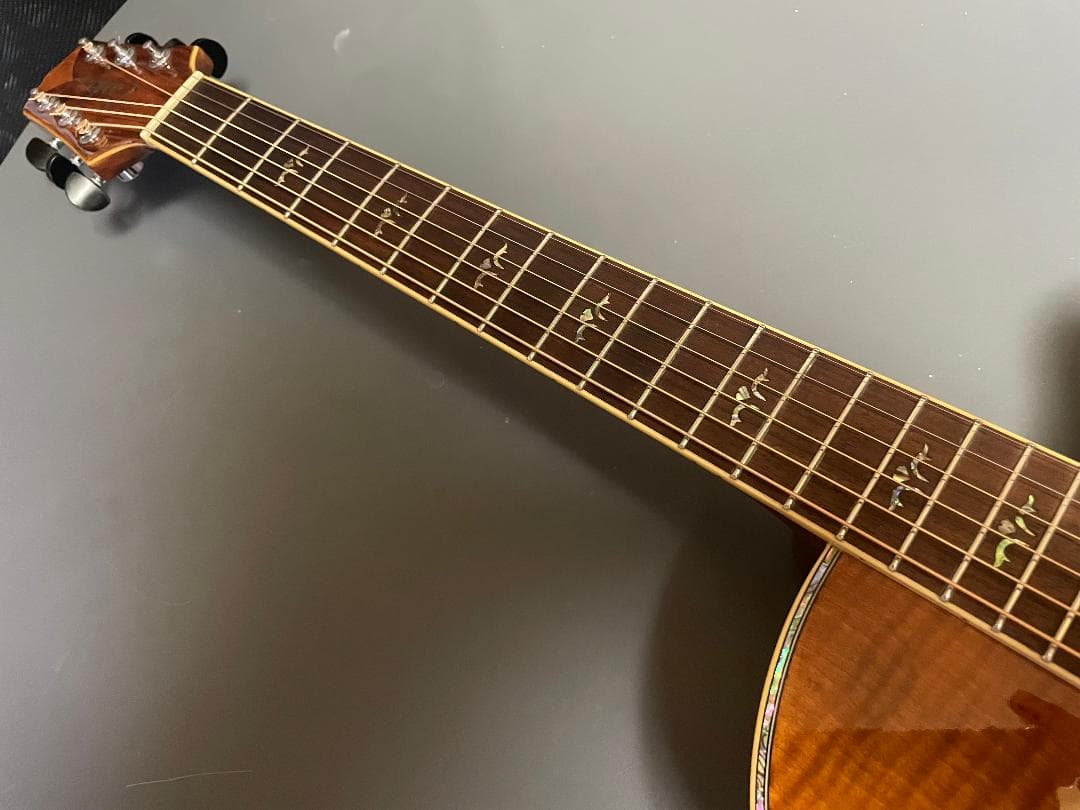 ギター Takamine Cooder TCP-560VB