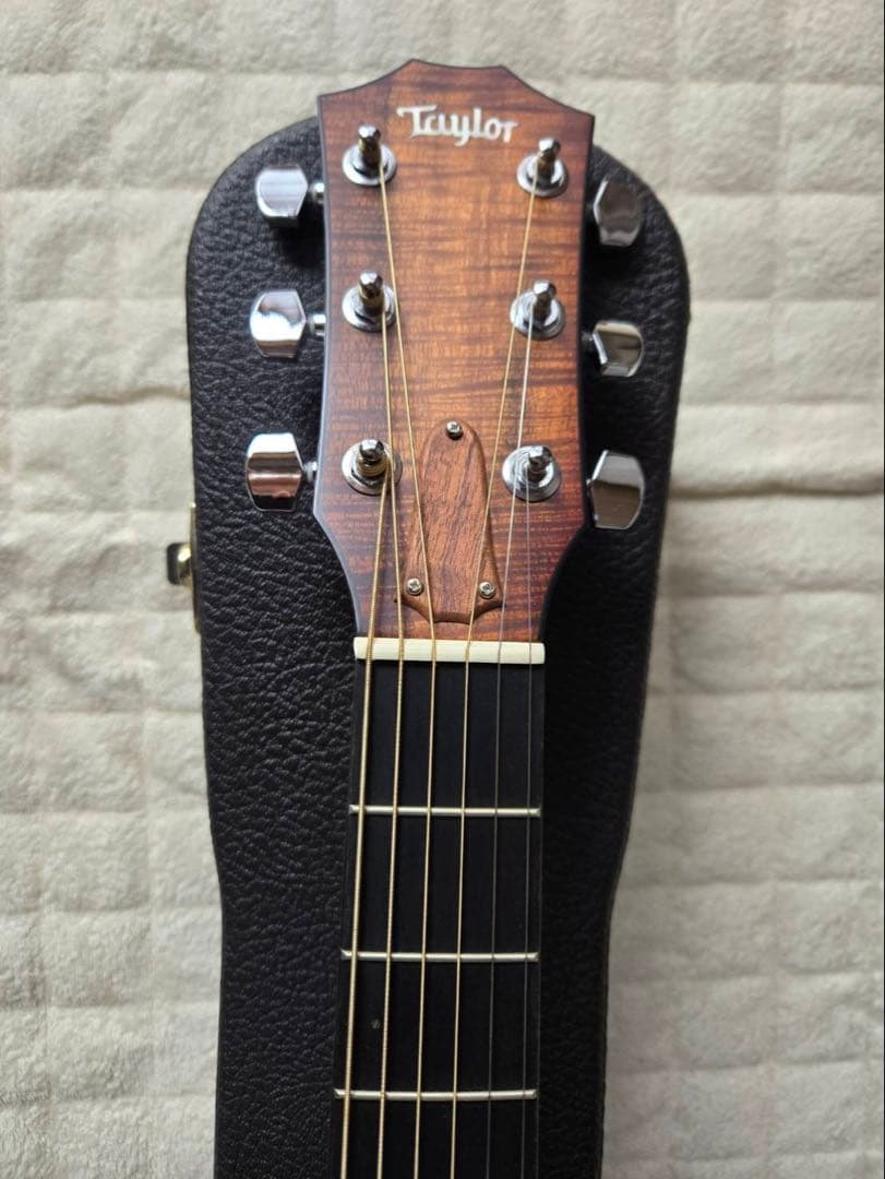 TAYLOR Custom TF Koa 2013年製 新品未使用