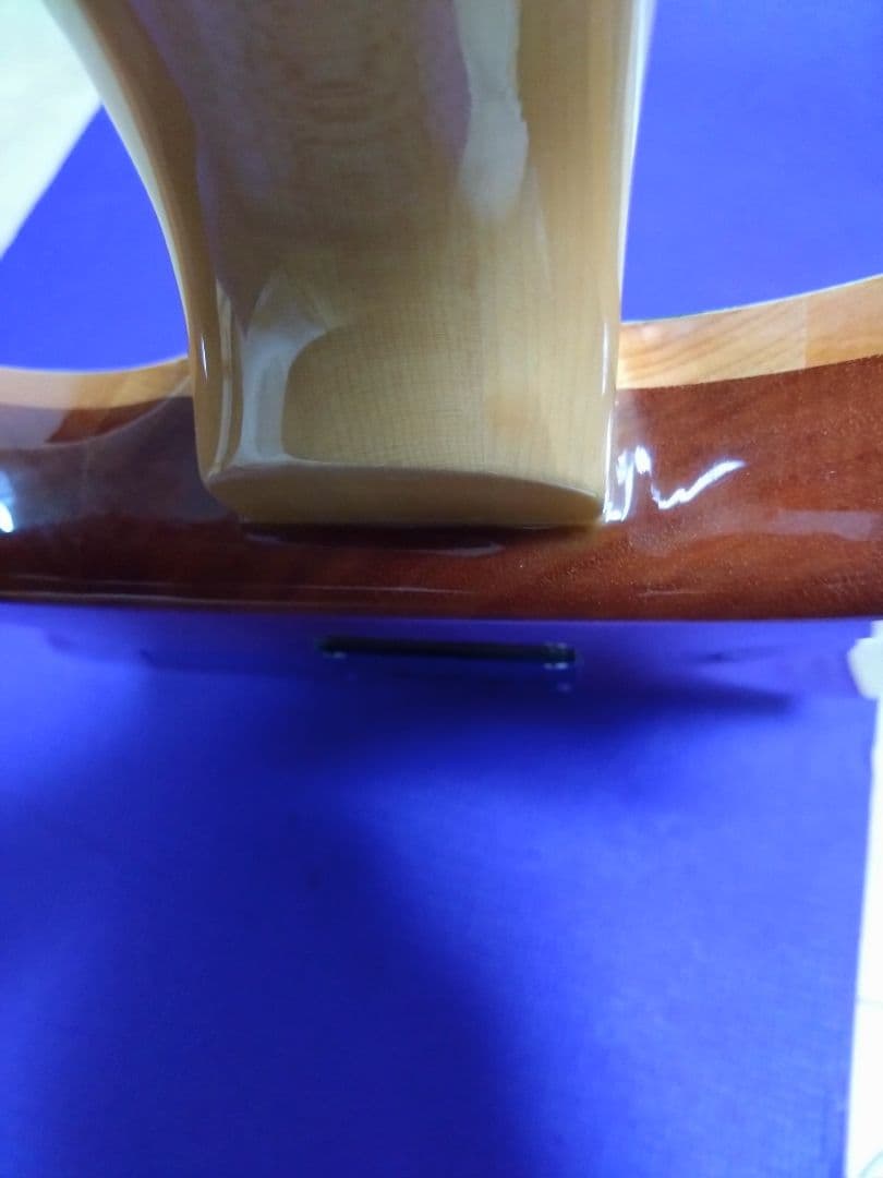 PRS custom24 SE グリーン ソフトケース付き