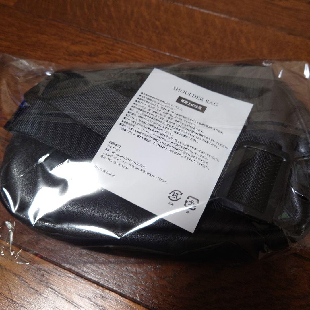 レディ・ガガ　シルバーVIPグッズ（未開封）