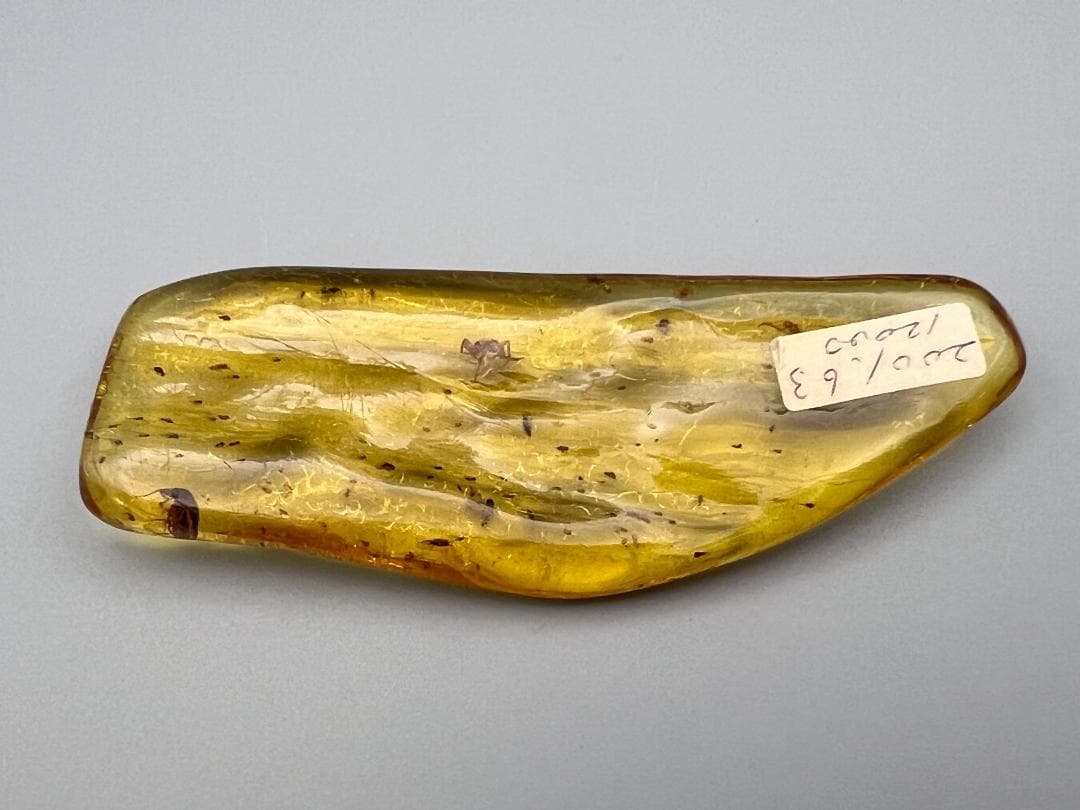 虫入り琥珀　蜘蛛　蚊　大量小さい虫内包　バルティックアンバー　バルト海沿岸地域産