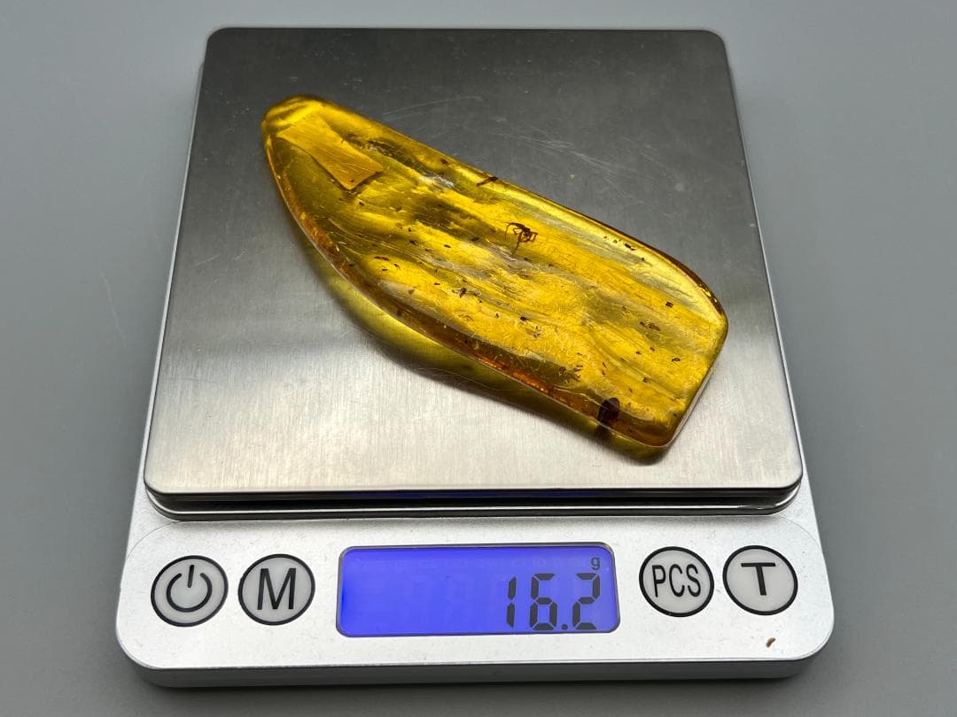 虫入り琥珀　蜘蛛　蚊　大量小さい虫内包　バルティックアンバー　バルト海沿岸地域産