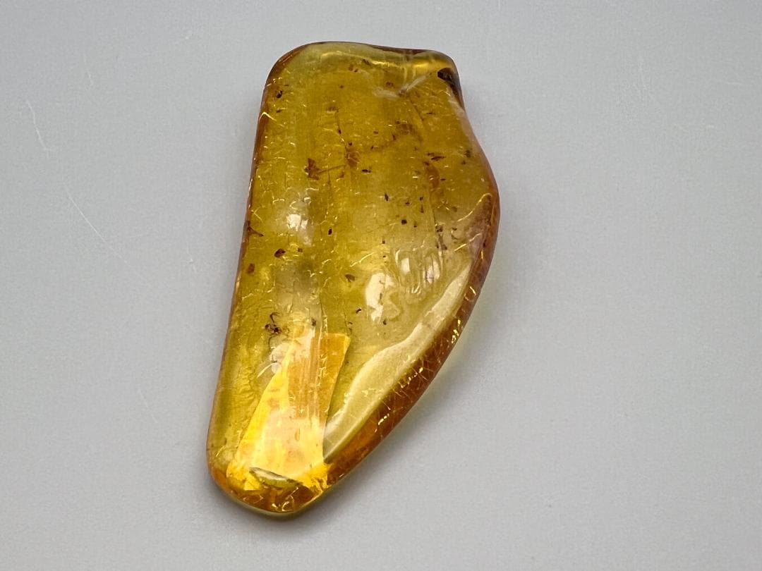 虫入り琥珀　蜘蛛　蚊　大量小さい虫内包　バルティックアンバー　バルト海沿岸地域産