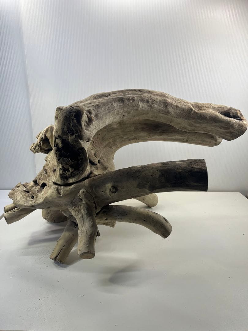 V64大型流木 アク抜き済み流木 爬虫類シェルター 登り木 インテリア 生け花