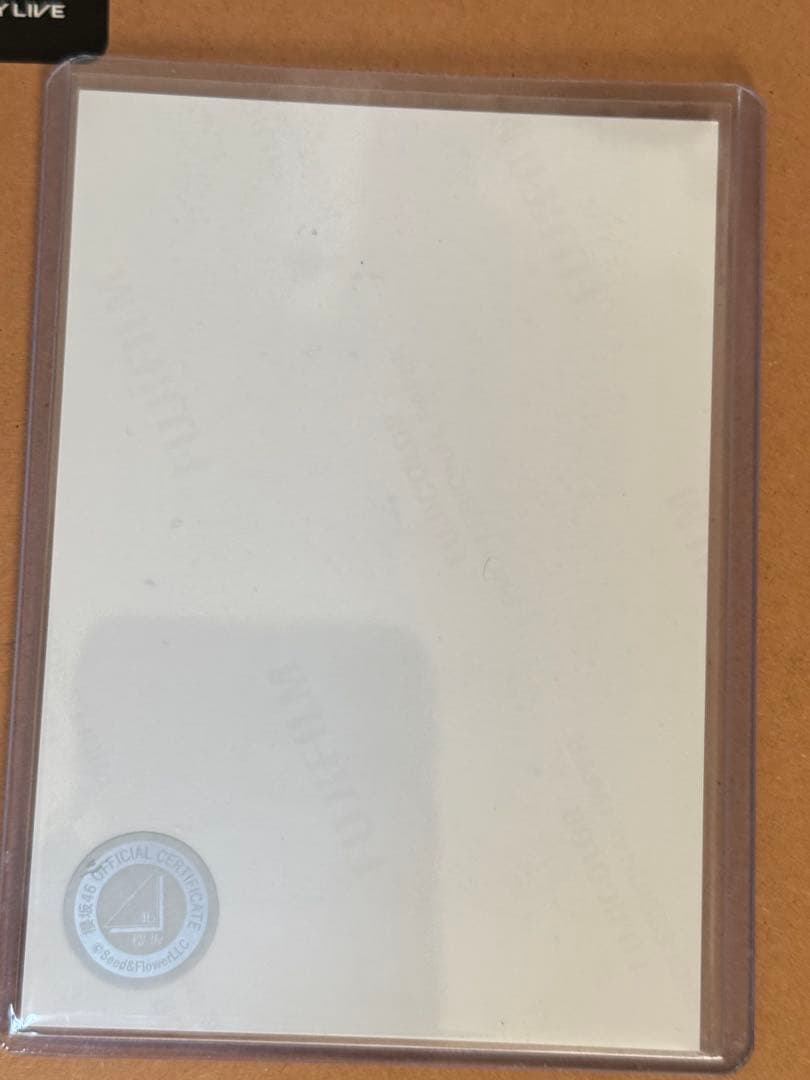 櫻坂46 生写真　中嶋優月　2024年クリスマスサンタ衣装　直筆サイン