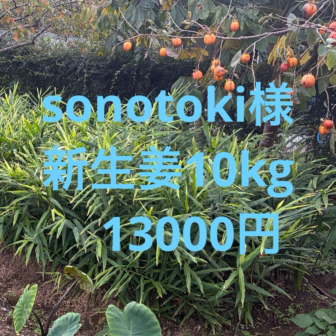 和歌山県産　農薬不使用　新生姜10kg