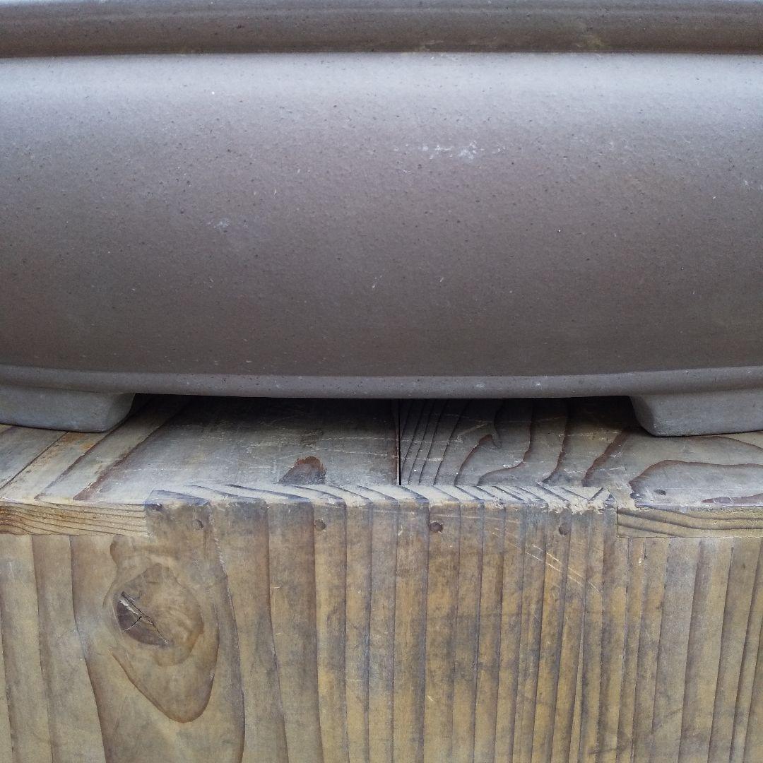 常滑焼 盆栽鉢 松柏類 大品『松下陶園』泥鉢 泥物 外縁 小判 隅入 袋形 切足