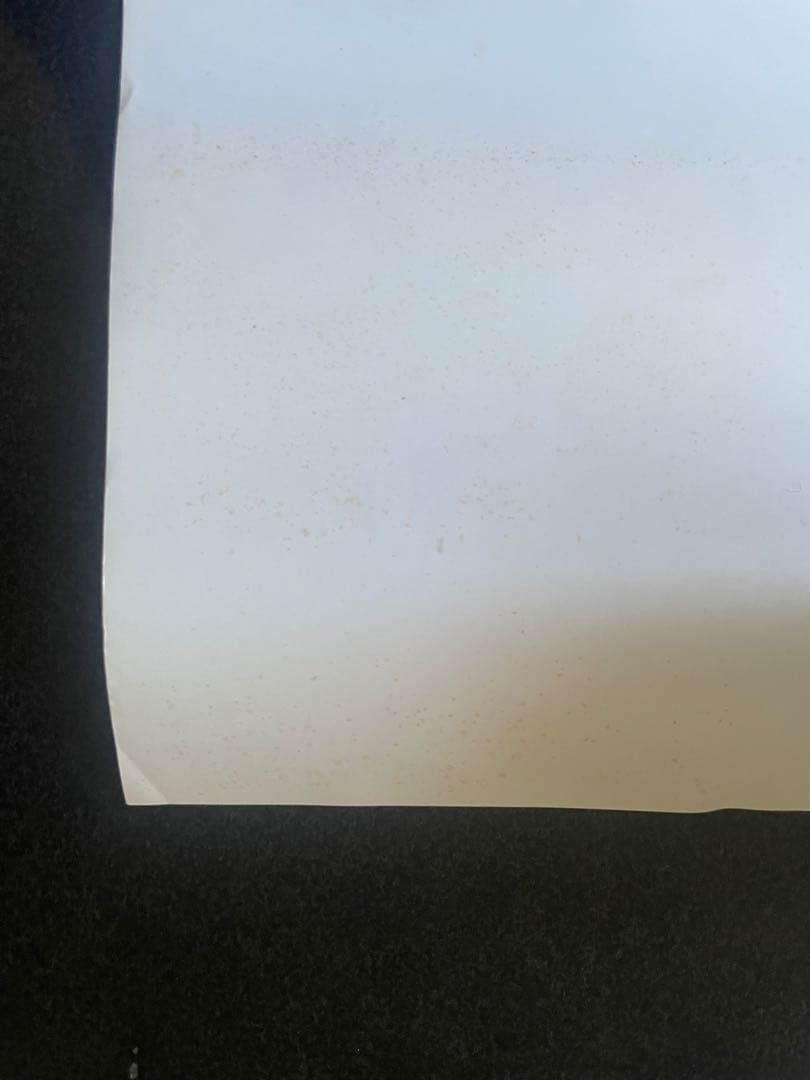 TRIGUN トライガン 映画 非売品 ポスター