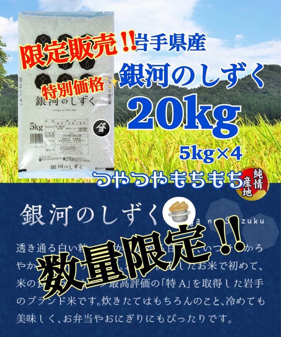 米　特別限定価格！白米【岩手県産銀河のしずく20kg】 (5kg×4)