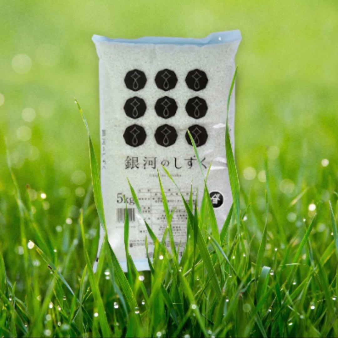 米　特別限定価格！白米【岩手県産銀河のしずく20kg】 (5kg×4)