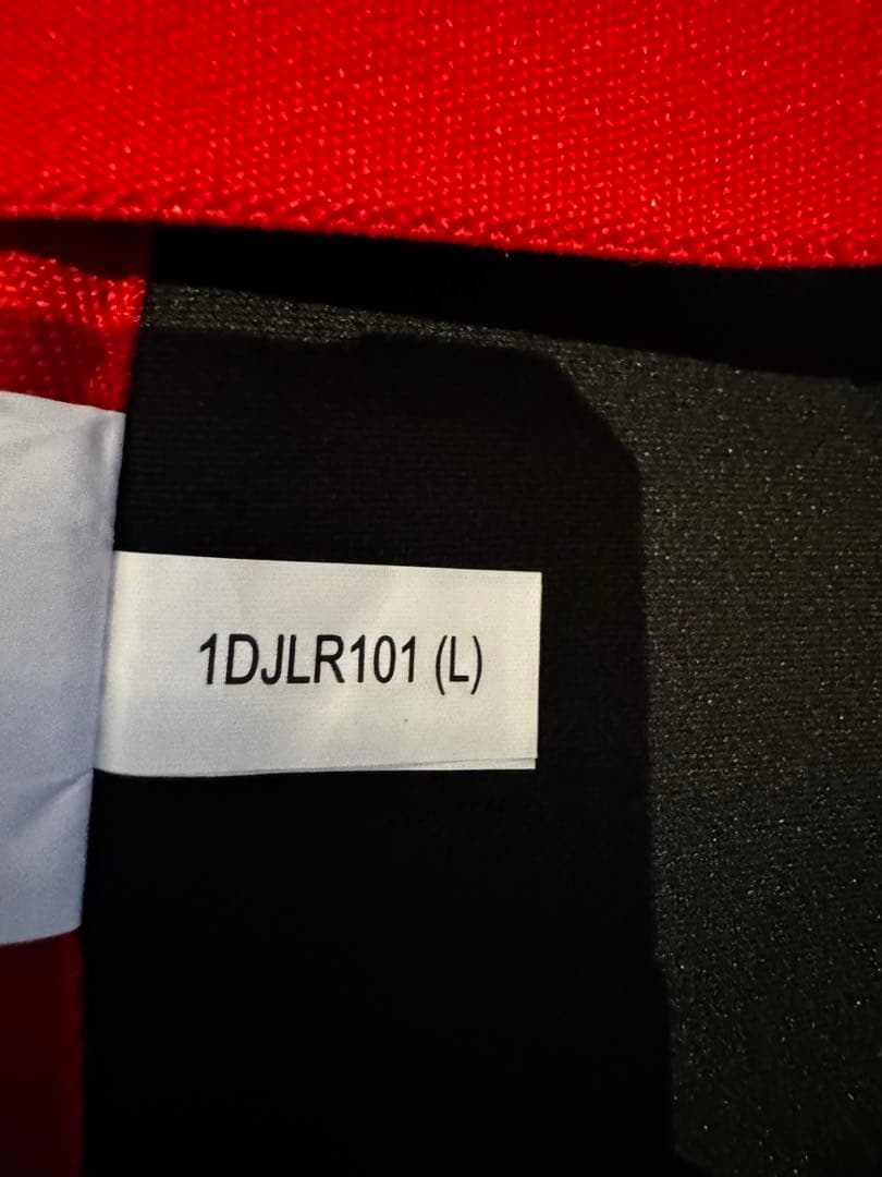 ミズノ　キャッチャー　プロテクター レッド 軟式　Lサイズ　一回使用　防具