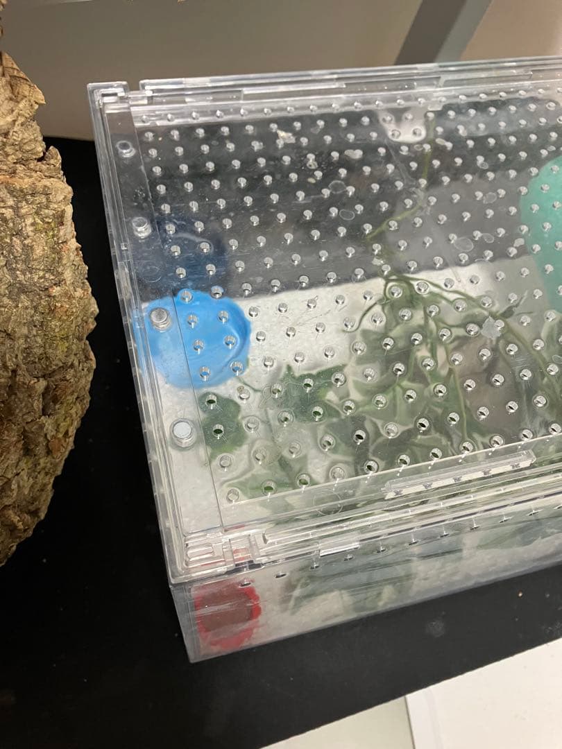 【新品未使用】爬虫類ケージ　ゲージ　アクリル　マグネット　スライド式 6box