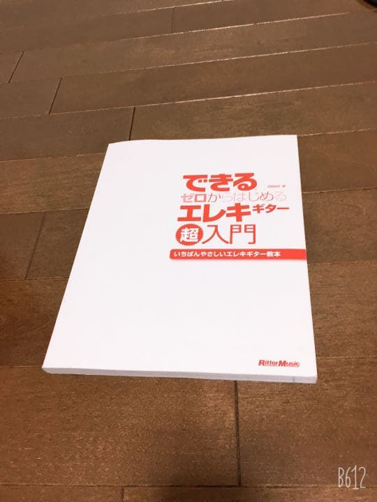 AriaProllエレキギター、カバー、アンプ、ピック、手入れ道具、シールド、本