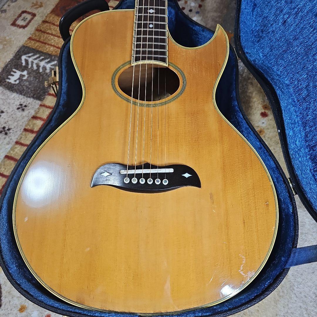 Aria.Elecod.FE-S80エレアコ珍品。