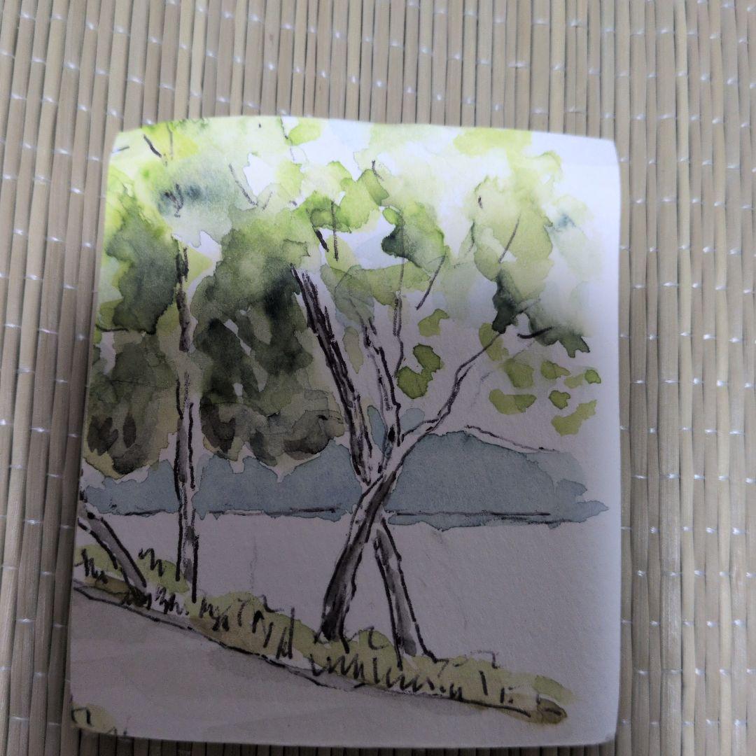 野坂康起　萩焼　湯呑