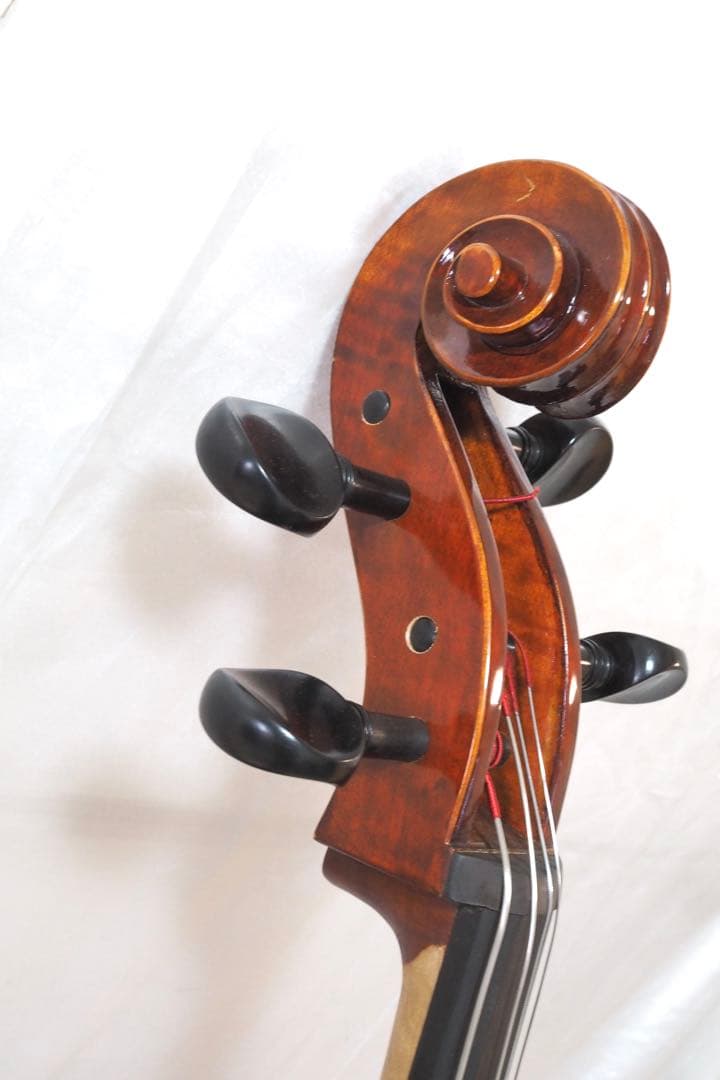 Carlo Giordano SC-240 チェロ カルロジョルダーノ