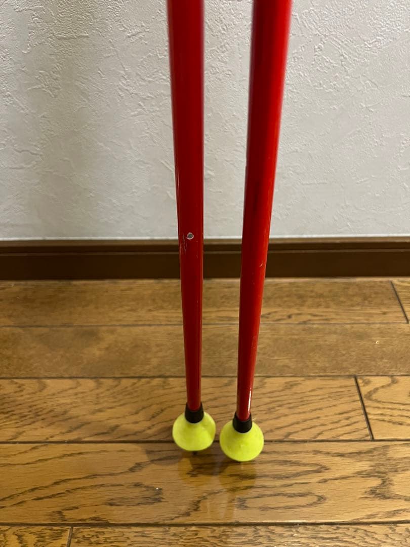 スキー LEKI WCR TBS GS 3D 125cm