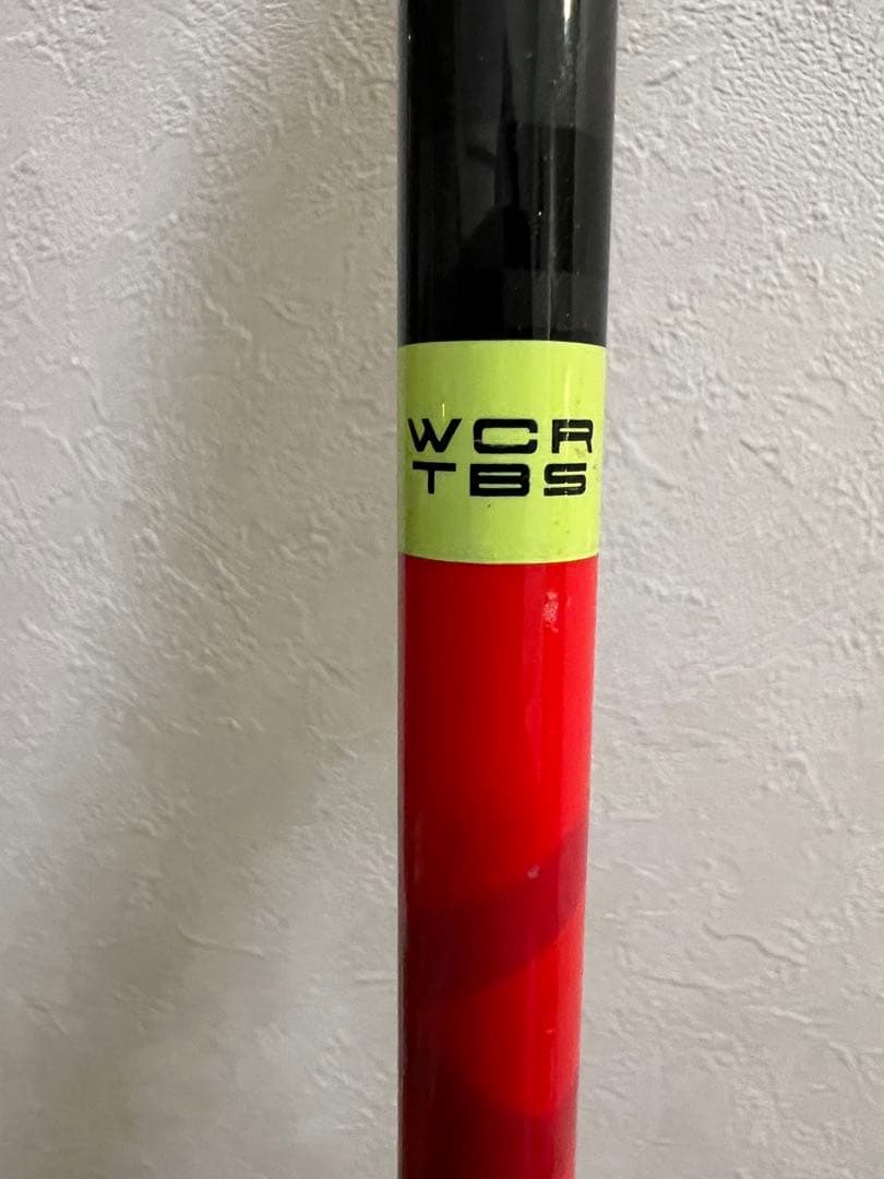 スキー LEKI WCR TBS GS 3D 125cm