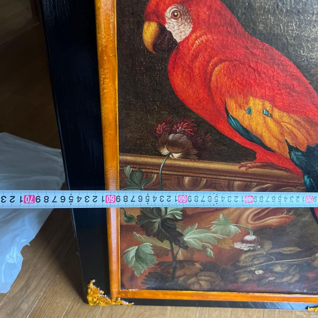 Montanari Papagallo 油彩画 50x70 cm