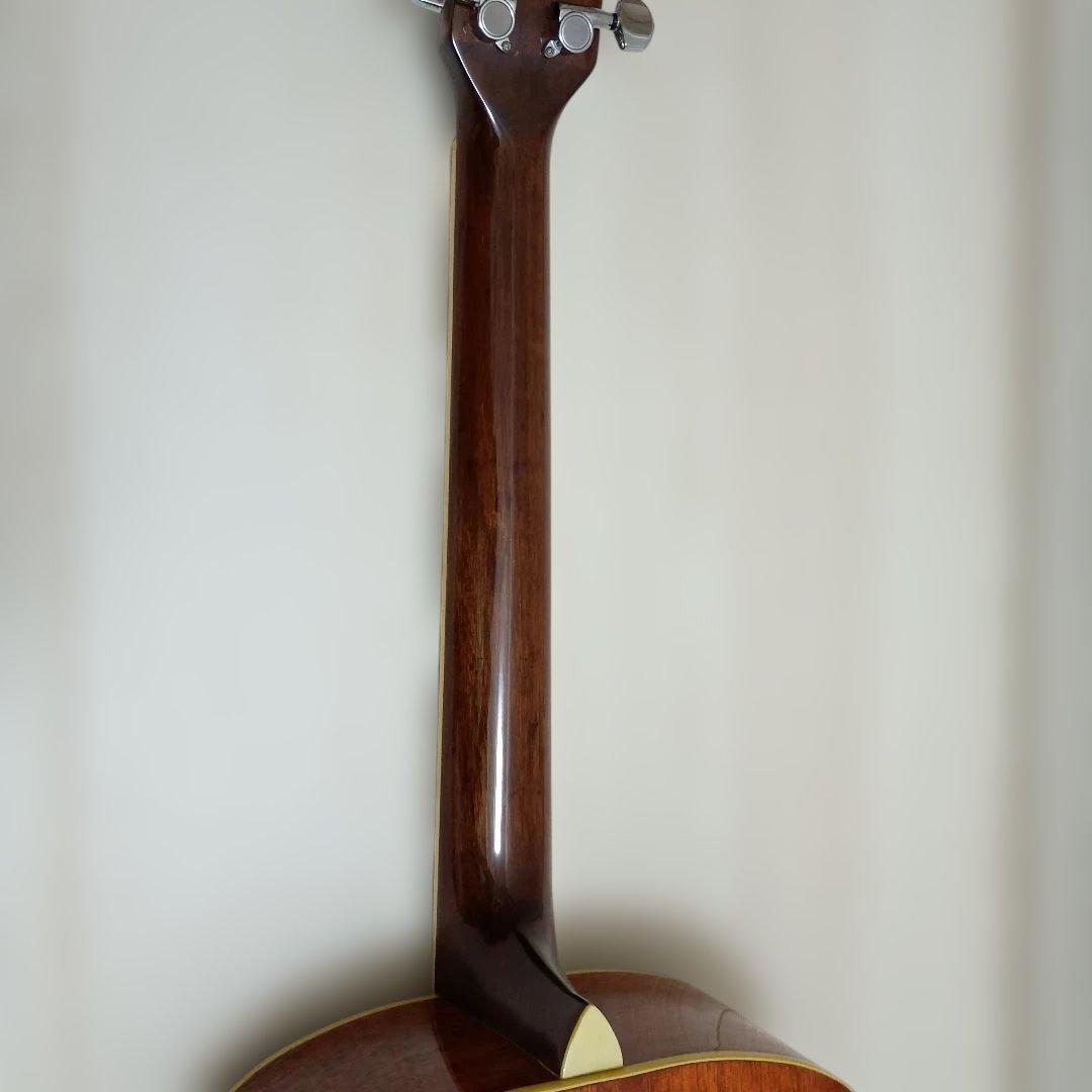 Michael アコースティックギター 308