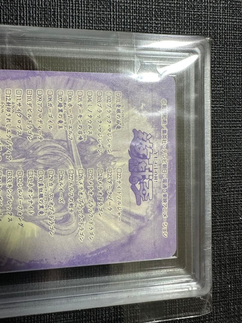 【ARS10】世界に1枚 暗黒騎士ガイアバンダイ版 シールダス