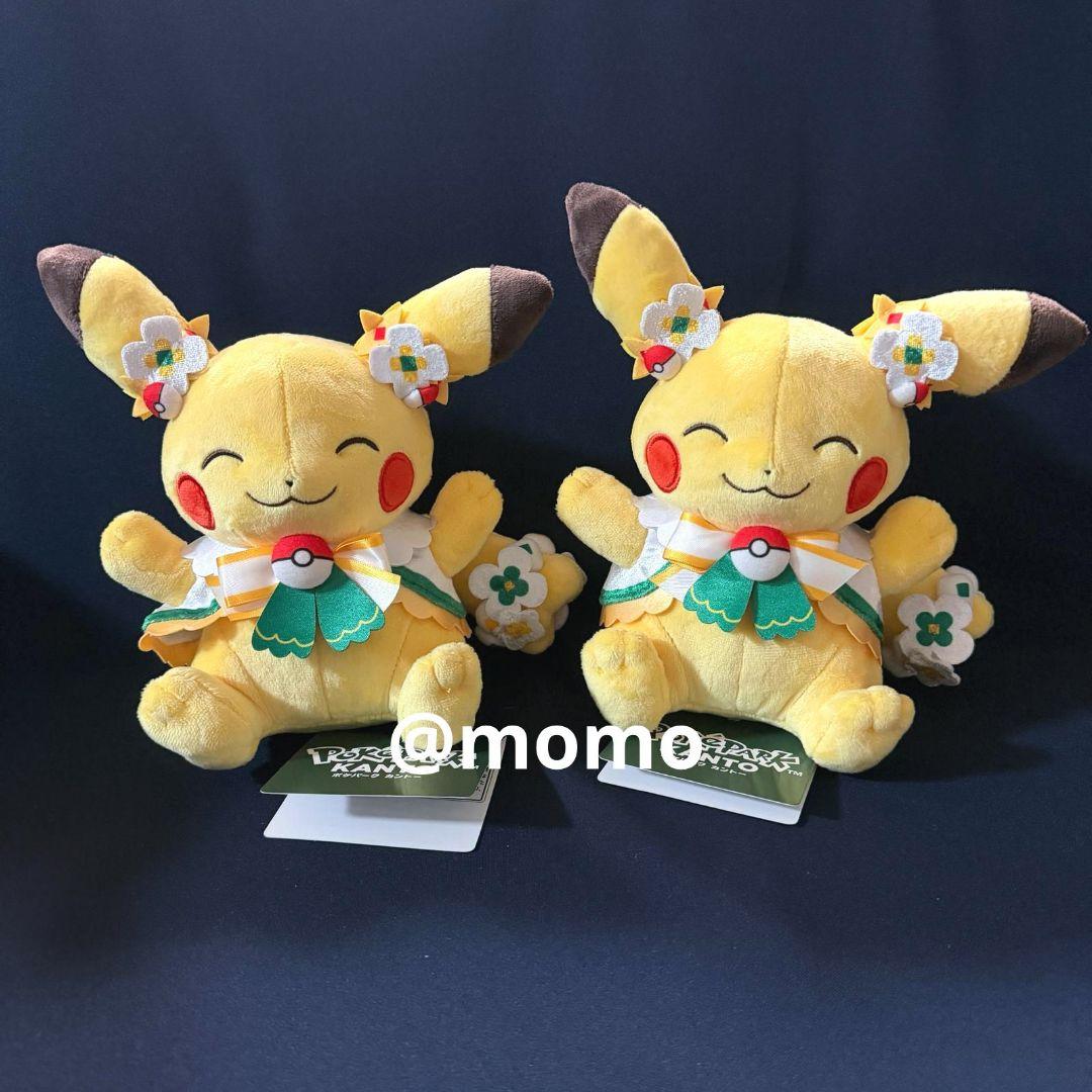 ポケパークカントー カーニバル衣装 ピカチュウ ぬいぐるみ