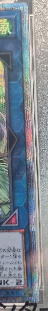 【PSA10】蒼翠の風霊使いウィン 20th