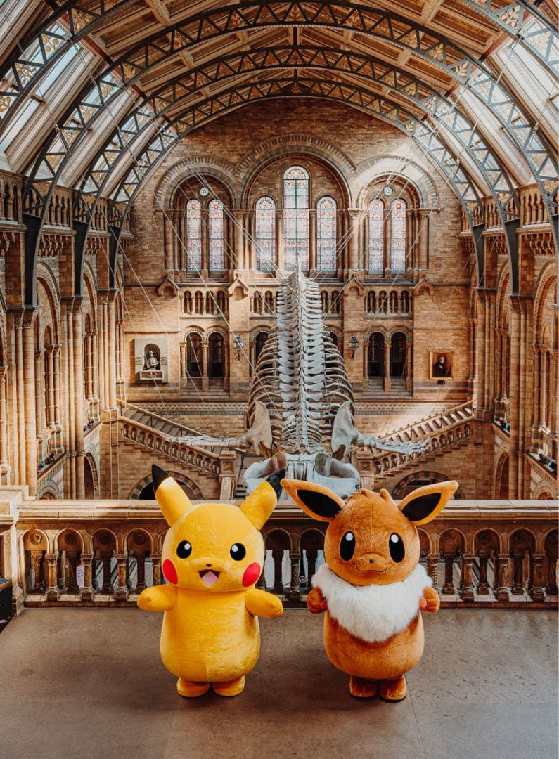2枚セット Pikachu at the Museum ピカチュウ 自然史博物館