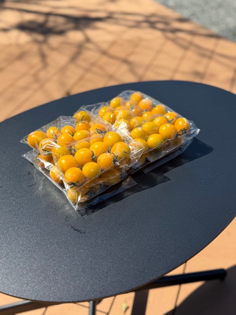 冷凍トマト ミニトマト イエローミミ 業務用 加工用 10kg