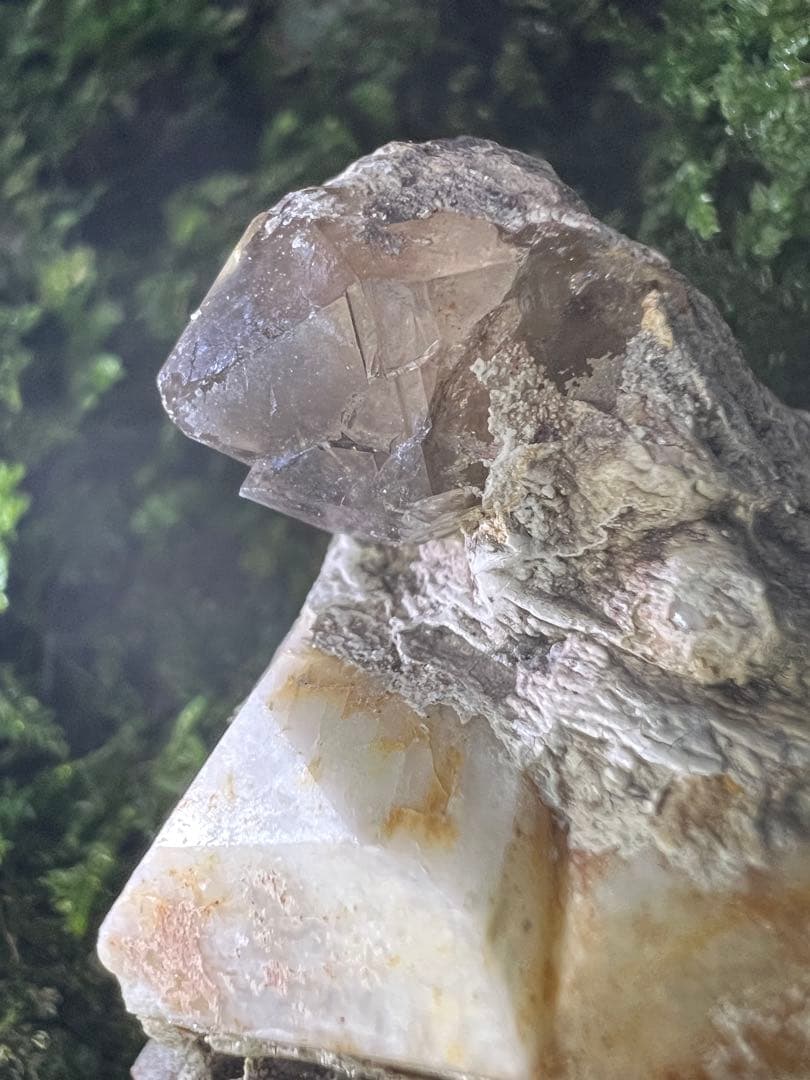 龍脈の精髄 九州産煙水晶＆長石共生標本 「大地と祓いの調和」【保護猫活動支援】