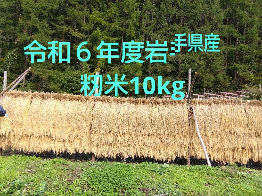 令和６年度岩手県産かけはし自然天日干し籾米10kg