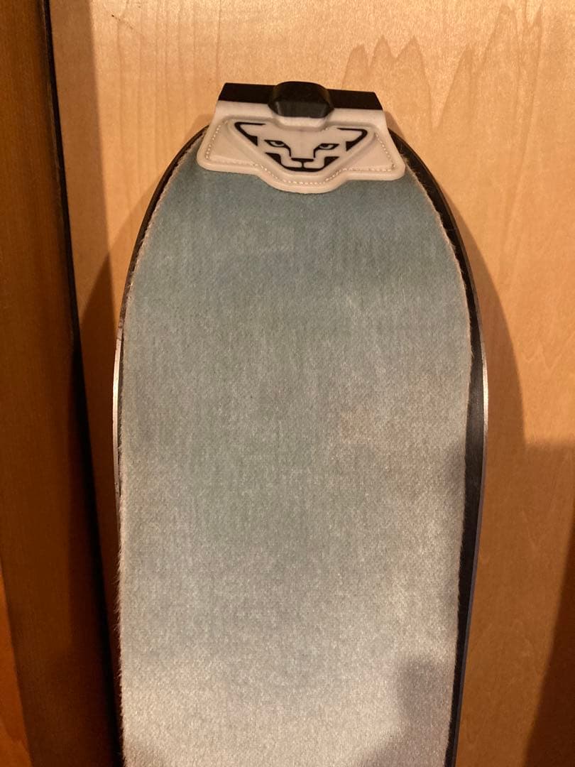 バックカントリースキー