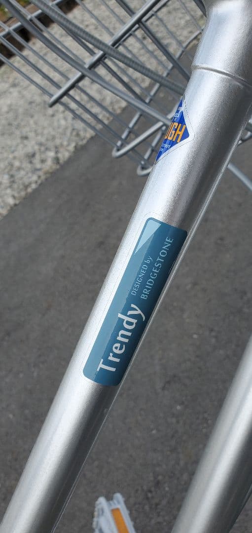 自転車本体 Teru