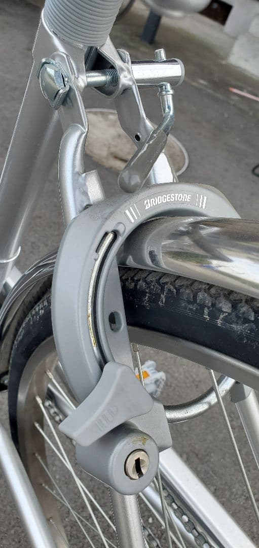 自転車本体 Teru