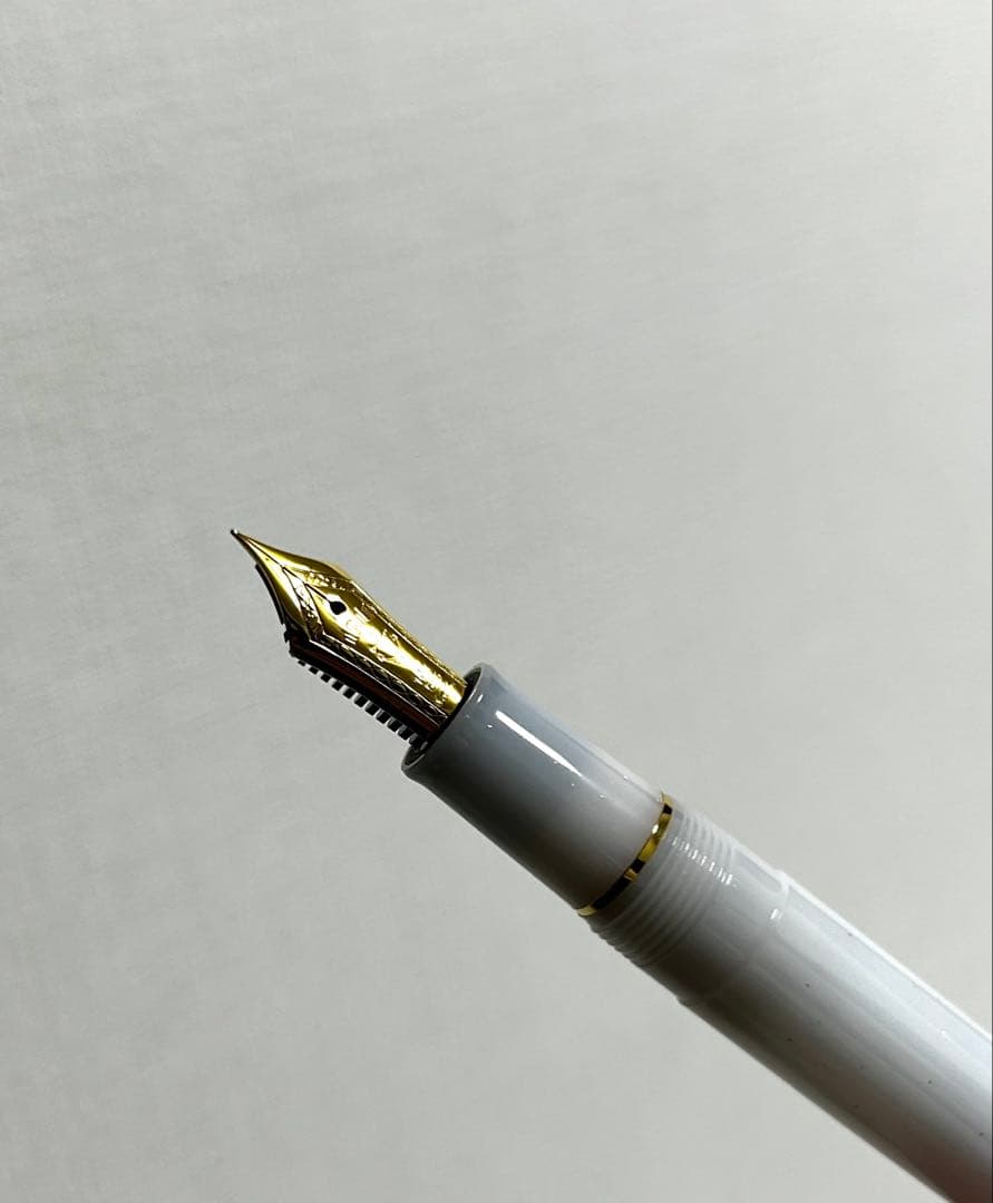 【美品】セーラー 万年筆 四季織 雪月空葉 EF