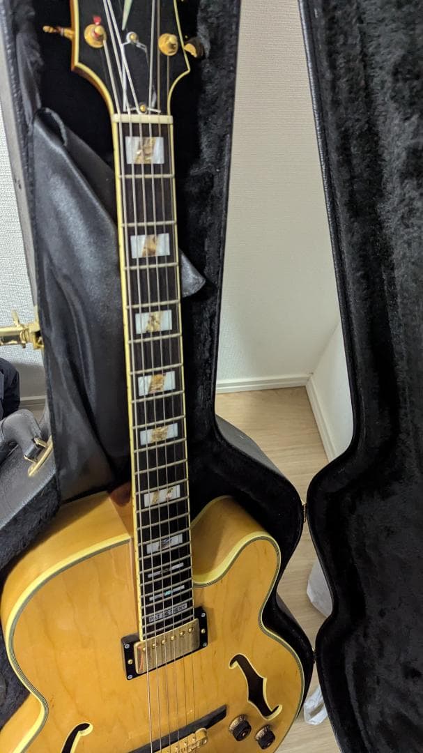 Ibanez pm200 パット・メセニー ハードケース付き
