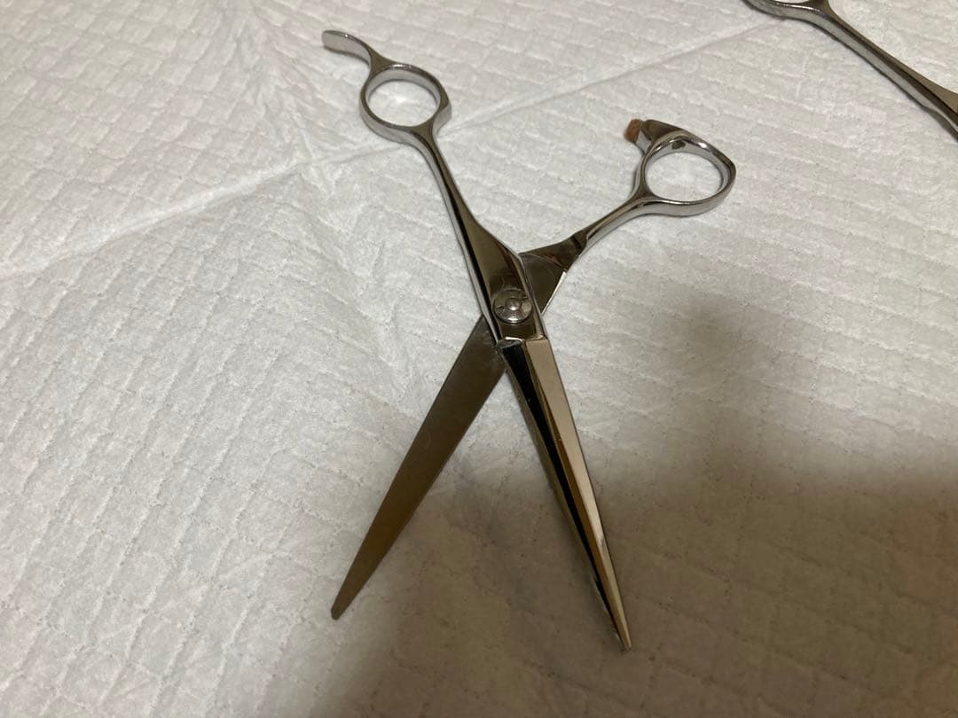 プロ用トリミングシザー×2