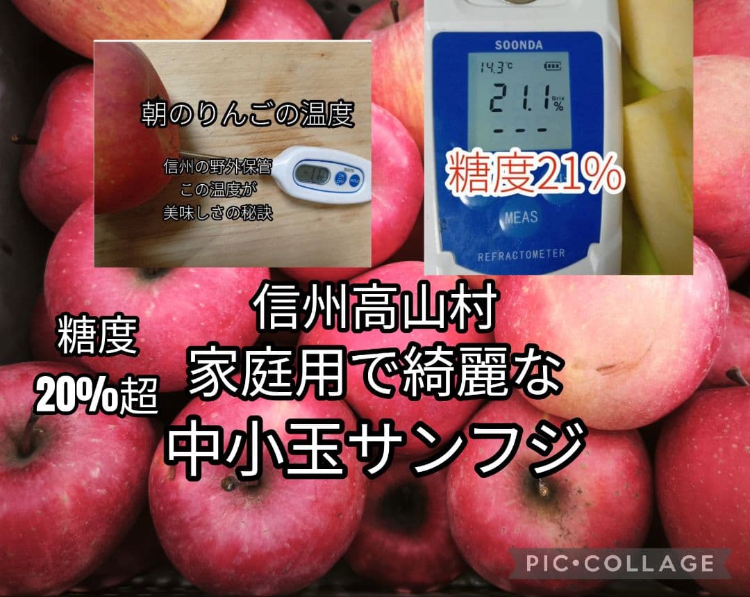糖度21%！味は贈答用クラス15キロ【シャキシャキ】信州高山村産サンフジ