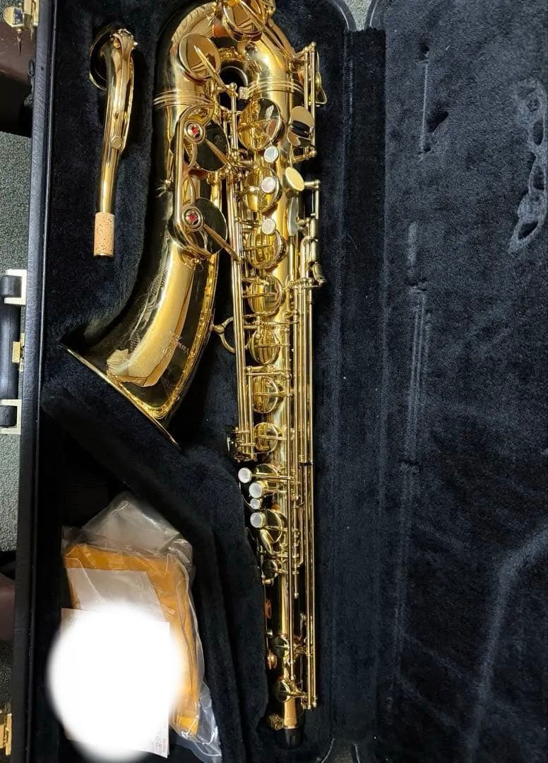 ヤナギサワ　アルトサックス　A901