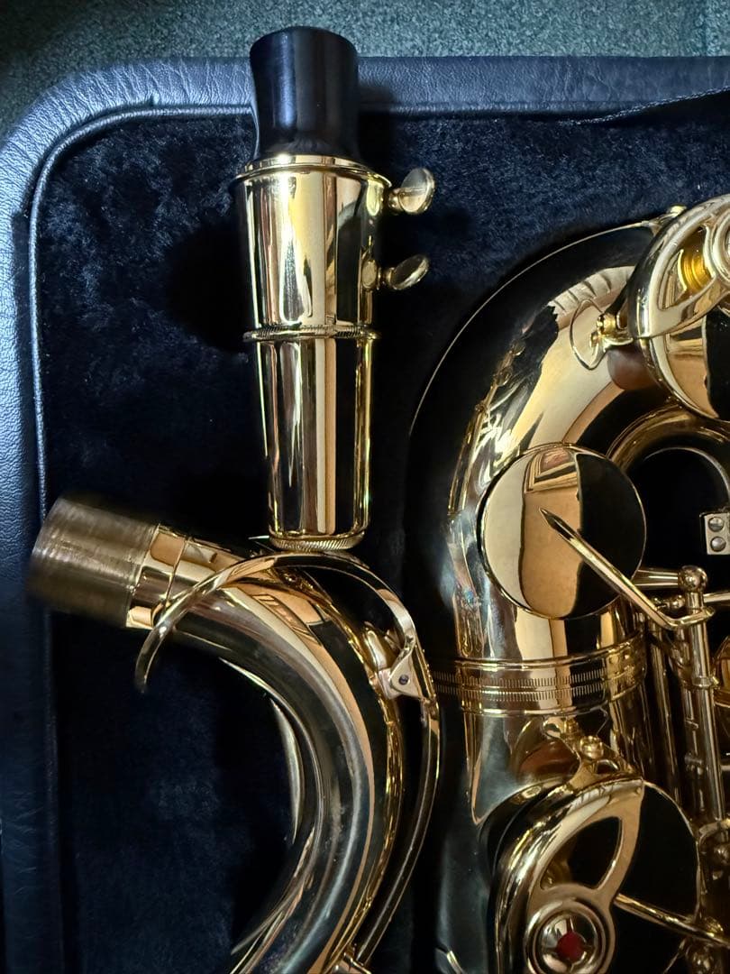 ヤナギサワ　アルトサックス　A901