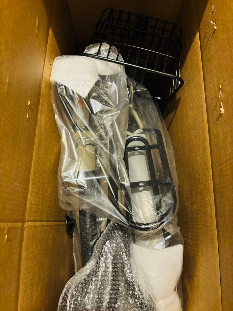 折りたたみ自転車 20 インチ 軽量 フレーム カゴ ワイヤー錠 ライト付き