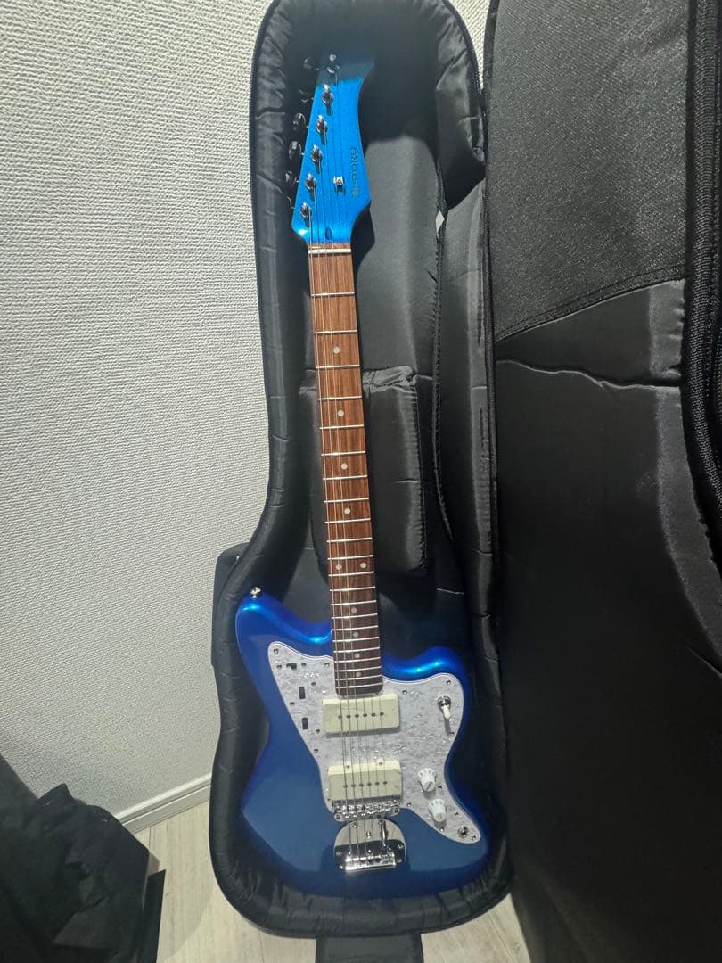 History ジャズマスター　ケース　おまけ付き