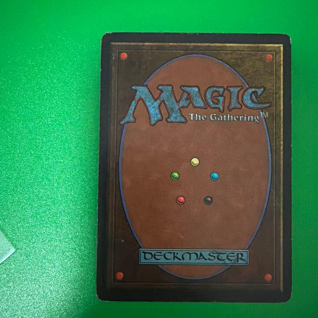 MTG Scrubland 英語版