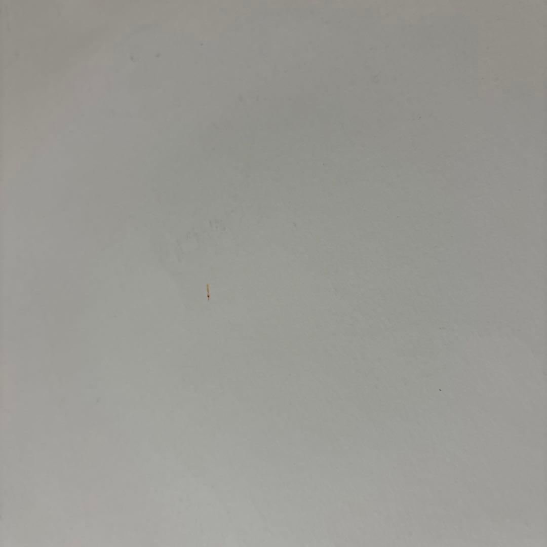 【中古】スラムダンク　ポスター　赤木剛憲　ゴリ