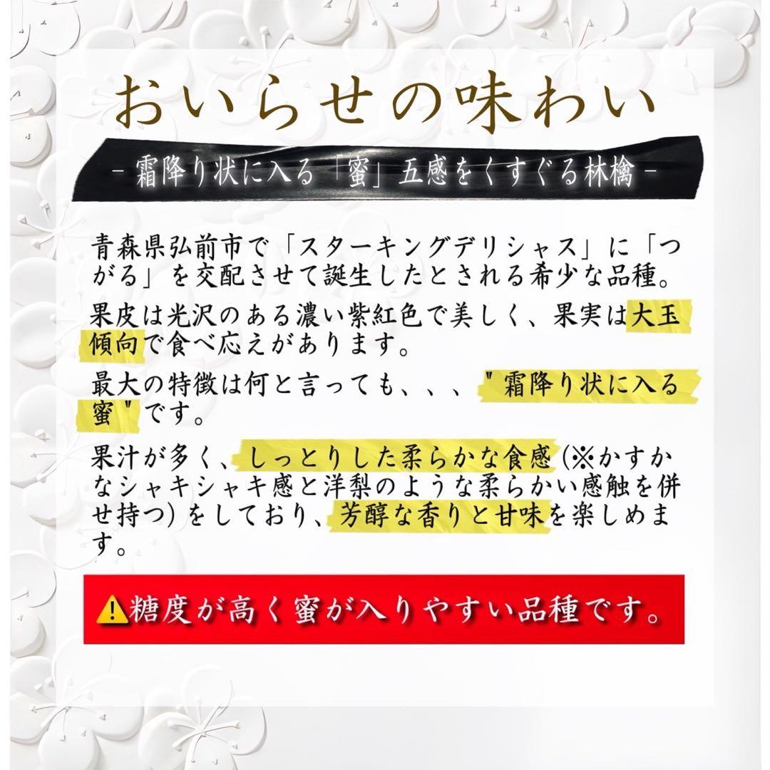 青森県産 ＂ おいらせ ＂ りんご 加工用 20kg 産地直送 リンゴ 林檎