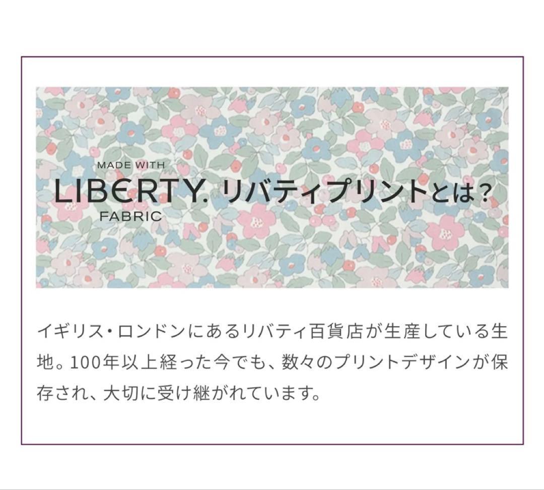 エアバギードーム3 公式コーナークッション リバティ vanilla 限定品