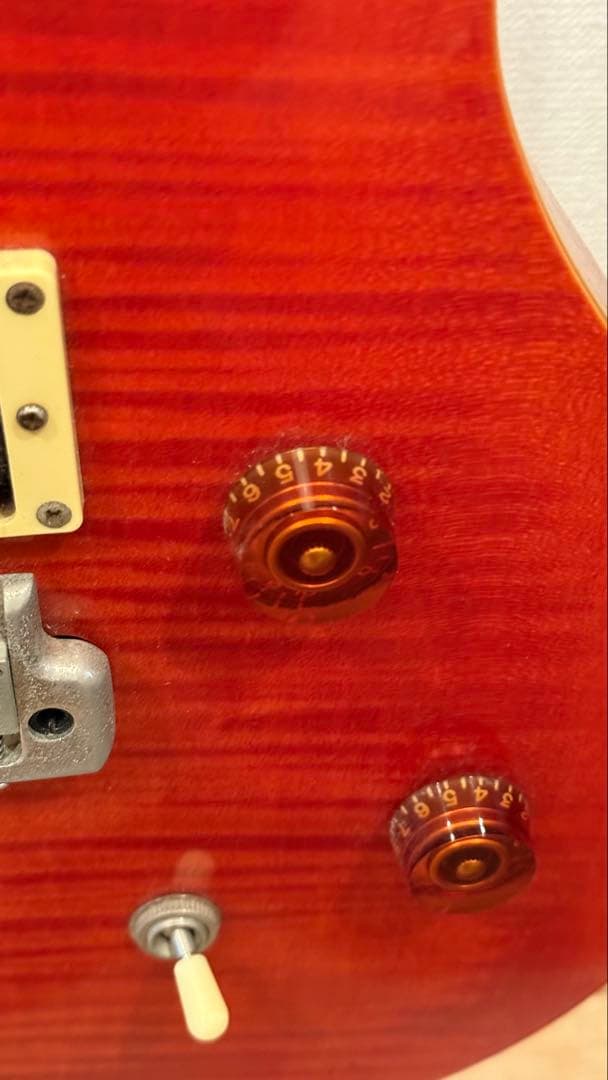 ギター PRS SE 25th Anniversary SE Custom 24